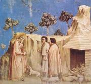 GIOTTO di Bondone Joachim Takes Refuge in the Wilderness (mk08) oil painting picture wholesale
